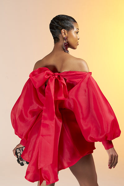 Zulelihle Ruffled Mini Dress